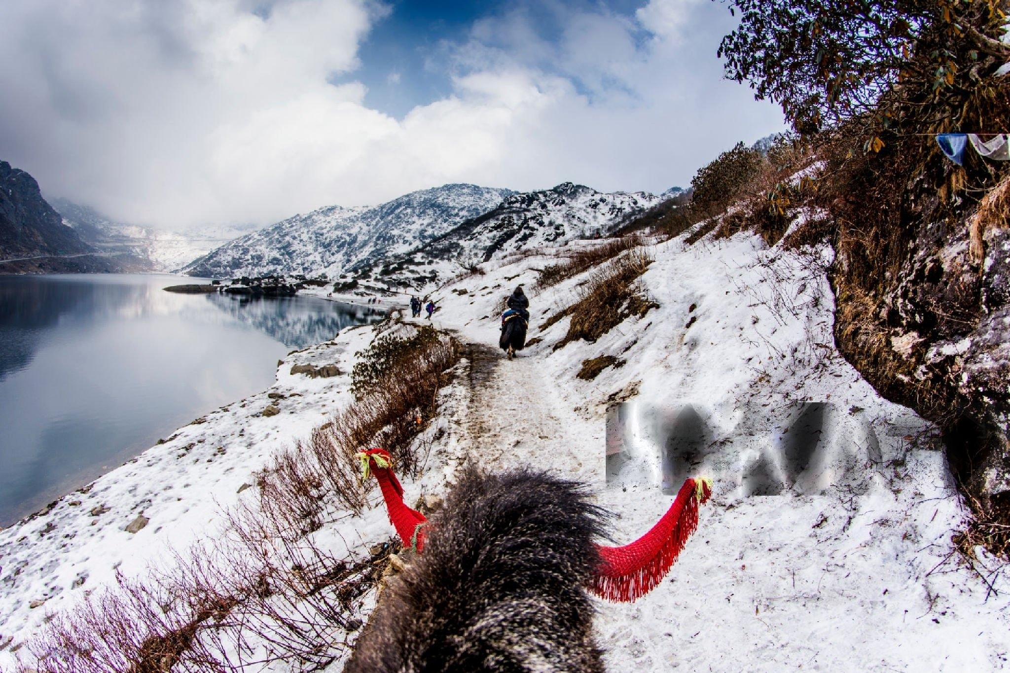 Sikkim